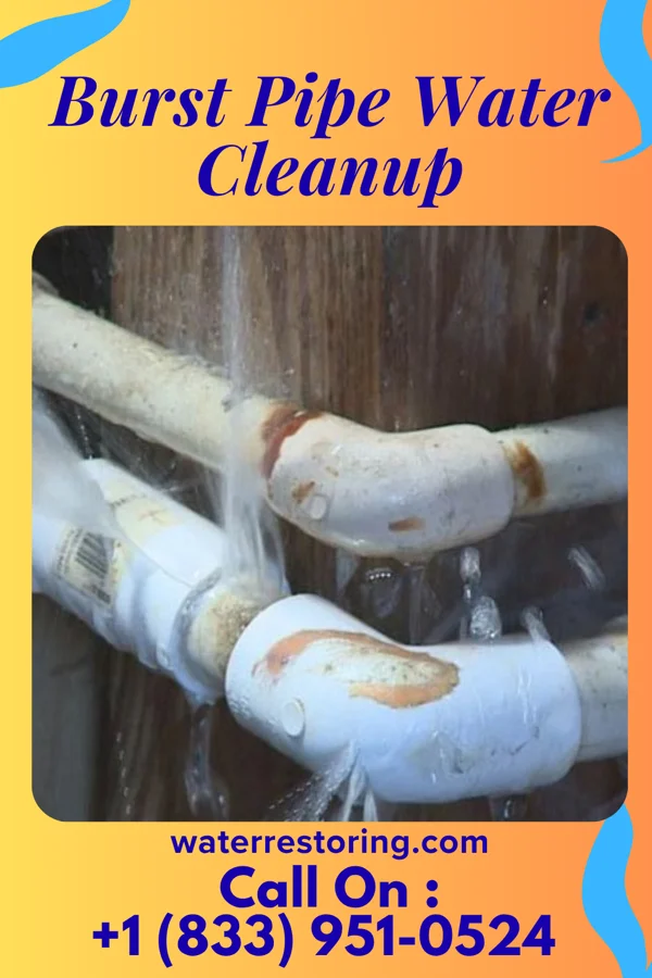 Burst Pipe Water Cleanup in The College of New Jersey, NJ