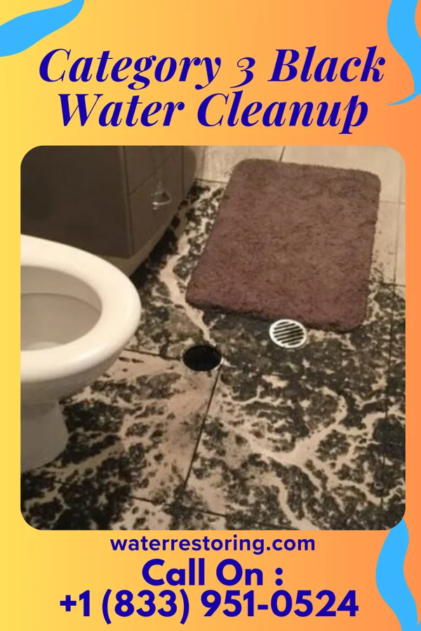 Category 3 Black Water Cleanup in The College of New Jersey, NJ