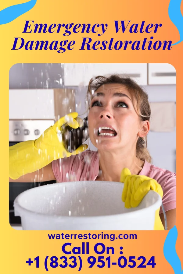 Emergency Water Damage Restoration in The College of New Jersey, NJ