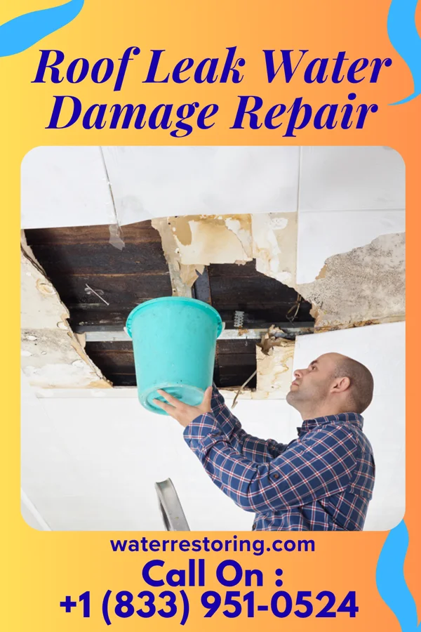 Roof Leak Water Damage Repair in The College of New Jersey, NJ