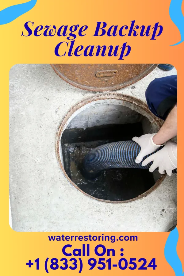 Sewage Backup Cleanup in The College of New Jersey, NJ